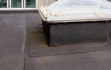 disadvantages of Stoford Water flat roofs